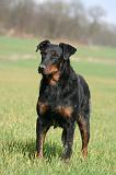 BEAUCERON 990